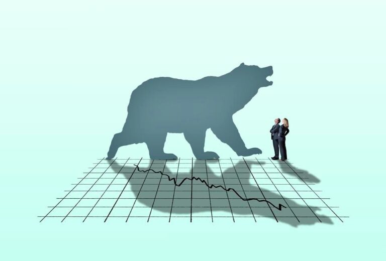 What Should I Do in a Bear Market?